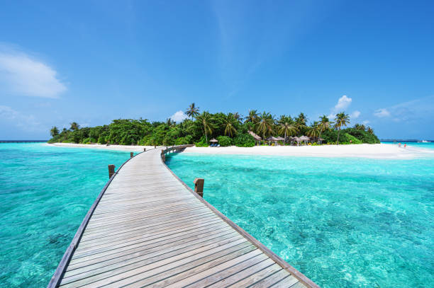 Caribbean